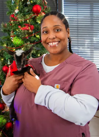 woman holding a baby goat in front of a Christmas tree