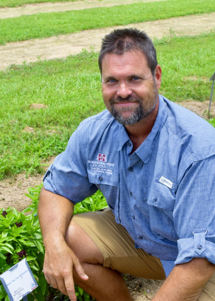 Shane Knight kneeling by his tomato plants